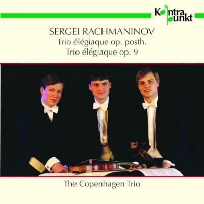 Afbeelding van The Copenhagen Trio Piano Trios (CD)