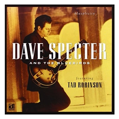 Afbeelding van Dave Specter &amp; The BlueBirds Blueplicity (CD)