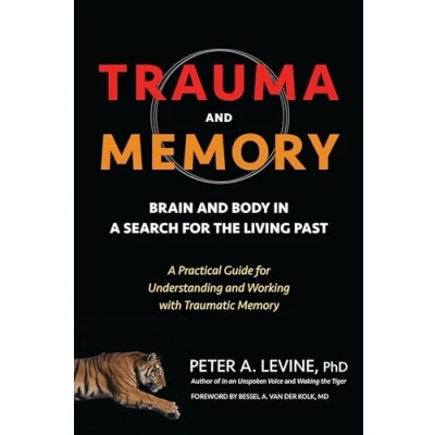 Afbeelding van Trauma &amp; Memory