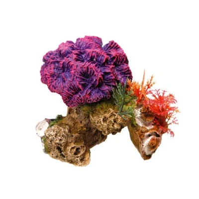 Afbeelding van Nobby aqua deco koraal met planten 13 x 10 12 cm