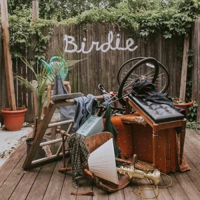 Afbeelding van Dog Slaughter Beach Birdie (CD)
