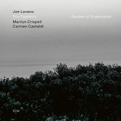Afbeelding van Joe Lovano Trio Tapestr Garden Of Expression