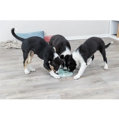 Afbeelding van Trixie Junior Likplaat Mintgroen 21X21 CM (410471)