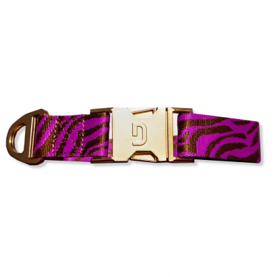 Afbeelding van Dogguo Zebra Collar Paars&amp;Bruin Hondenhalsband 42 68 cm