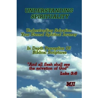 Afbeelding van Understanding Spirituality