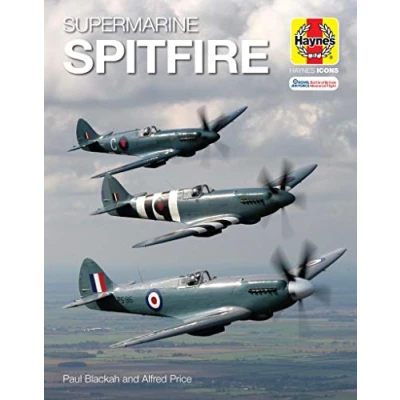 Afbeelding van Supermarine Spitfire (Icon)