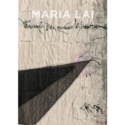Afbeelding van Maria Lai: Holding the Shadow by Hand