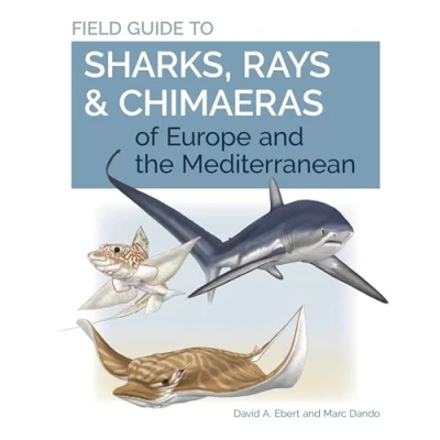 Afbeelding van Field Guide to Sharks, Rays &amp; Chimaeras of Europe and the Mediterranean
