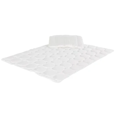 Afbeelding van Träumeland TENCEL® Set van dekbed en kussen 100 x 135 cm + 40 60