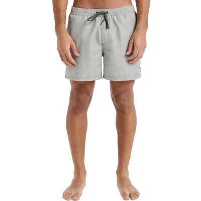 Afbeelding van Quiksilver Everyday Deluxe Volley Zwemshorts, Heren, Maat: XL, Grape leaf