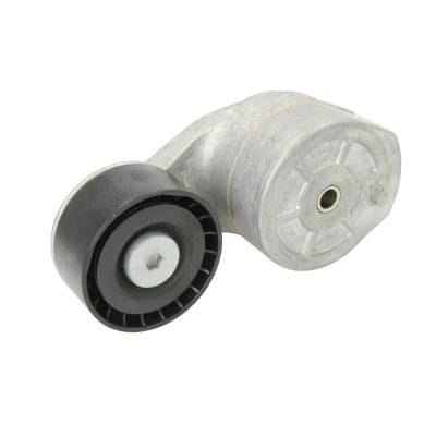Afbeelding van DAYCO APV1053 Riemspanner