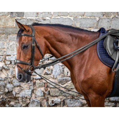 Afbeelding van Dyon Slofteugel 5/8 Leer/Nylon Zwart Pony