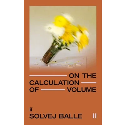 Afbeelding van On the Calculation of Volume II