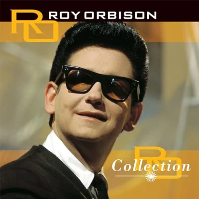 Afbeelding van Roy Orbison Collection (LP)