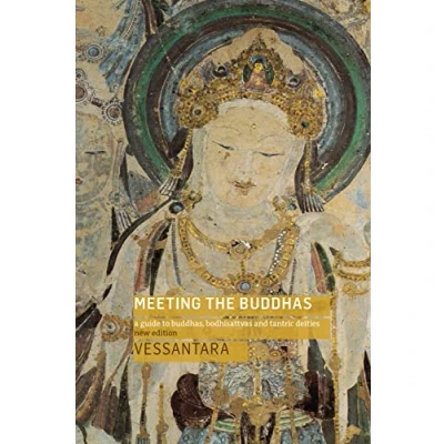 Afbeelding van Meeting the Buddhas