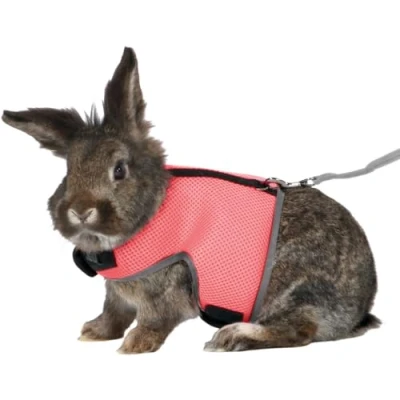 Image de TRIXIE Harnais doux avec laisse Pour grand lapin