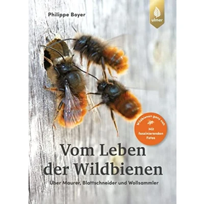 Afbeelding van Vom Leben der Wildbienen: Über Maurer, Blattschneider und Wollsammler. Wildbienen ganz nah Mit faszinierenden Fotos