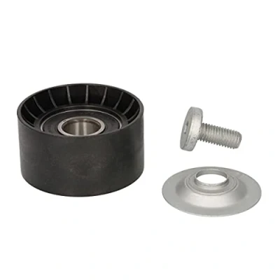 Afbeelding van DAYCO APV1111 Geleiderol