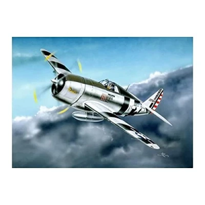 Afbeelding van P 47D Razorback