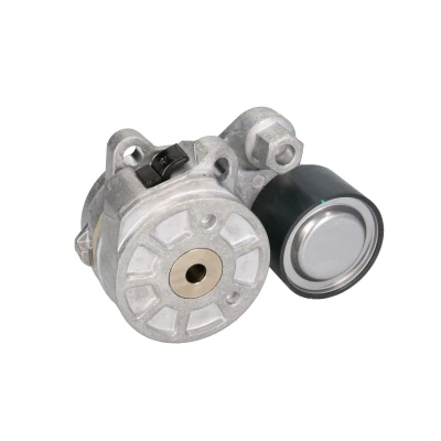 Afbeelding van GATES T38752 Riemspanner