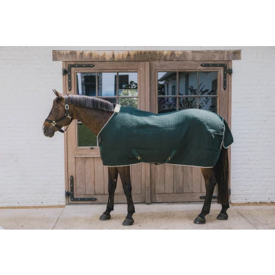 Afbeelding van Kentucky Cooler PROTherm Donker Groen 155/206 Agradi.be