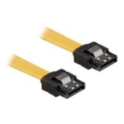 Image de DeLOCK Cable SATA câble 70 cm