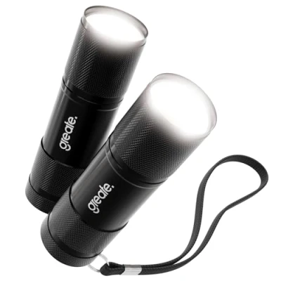 Afbeelding van greate Set van 2 kleine en heldere led zaklampen voor handtas met batterijen, mini zaklamp aluminium op batterijen 175 lumen, kinderen volwassenen,
