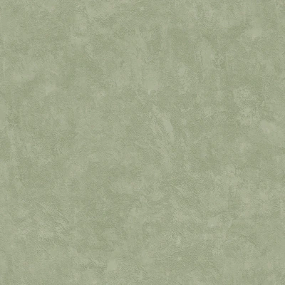 Afbeelding van Dutch Wallcoverings Artifice uni groen M796 04