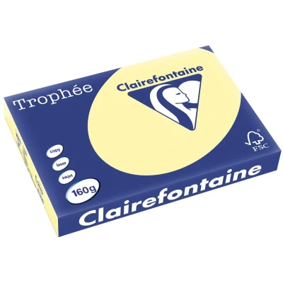 Afbeelding van Clairefontaine Trophée Pastel, Gekleurd Papier, A3, 160 G, 250 Vel, Kanariegeel Papier