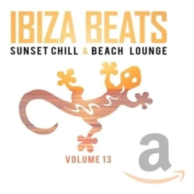 Afbeelding van Various Artists Ibiza Beats Vol.13 (2 CD)