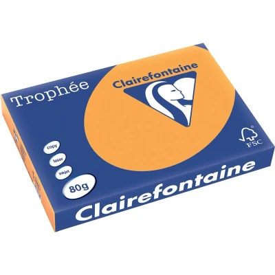 Afbeelding van Clairefontaine Trophée Pastel, gekleurd papier, A3, 80 g, 500 vel, climentine papier