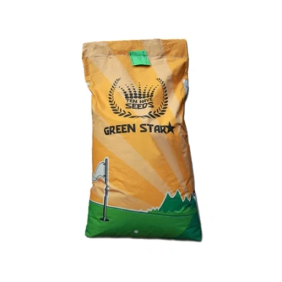 Afbeelding van Ten Have Graszaad Green Star Speel Sportgazon 5 KG 250 M²