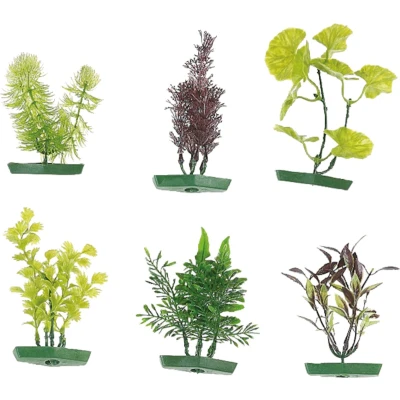 Afbeelding van Flamingo Aquarium plant assortiment Willekeurig 10 cm
