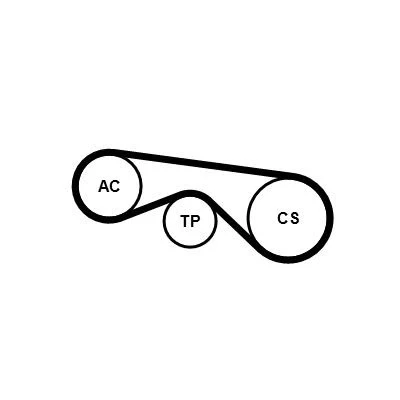 Afbeelding van Contitech Poly V riemen kit 5PK890K3