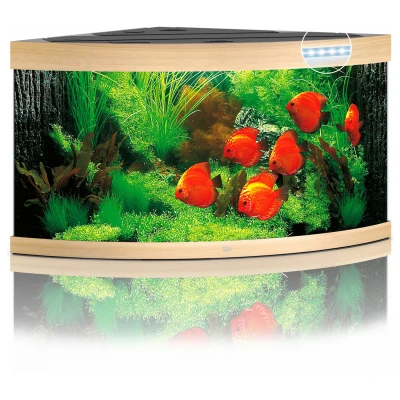 Afbeelding van Juwel Aquarium Trigon 350 Led 87x87x65 cm Aquaria Licht Hout