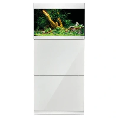 Afbeelding van Oase Highline Optiwhite 175 Aquarium Aquaria 70x50x50 cm l Transparant Wit