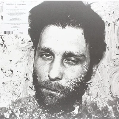 Afbeelding van Wildbirds &amp; Peacedrums Iris (12&quot; Vinyl Single) (Coloured Vinyl) (Limited Edition)