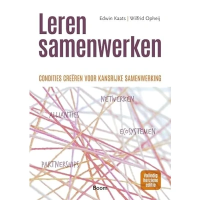 Afbeelding van Leren samenwerken