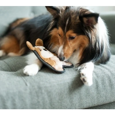 Afbeelding van Outward Hound Invincibles Mini Puppy Hondenspeelgoed Kleurloos Hondenartikelen