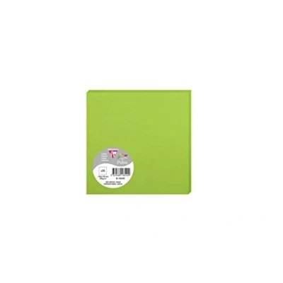 Image de Paquet de 25 cartes simples Pollen 135x135mm Vert Menthe 210g