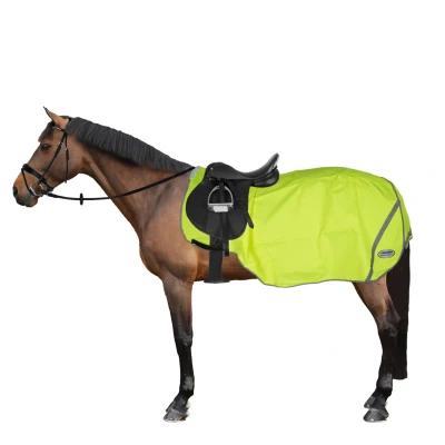 Afbeelding van Weatherbeeta Exercise Sheet 300D Reflective Yellow 120/170