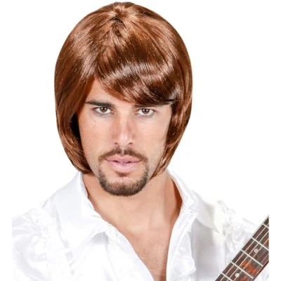 Afbeelding van Pruik Popster 70&#039;s Bjorn