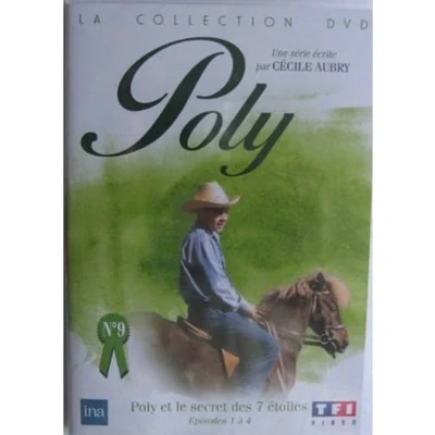 Afbeelding van Cld Distribution Poly Et Le Secret Des Sept Etoiles Dvd
