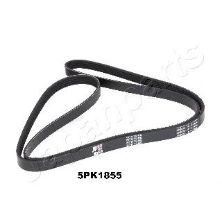 Afbeelding van JAPANPARTS DV 5PK1855 Multiriem 1855mm 5 KIA: CARENS 3