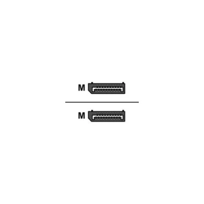 Image de ACT Câble DisplayPort (M) pour 50 cm