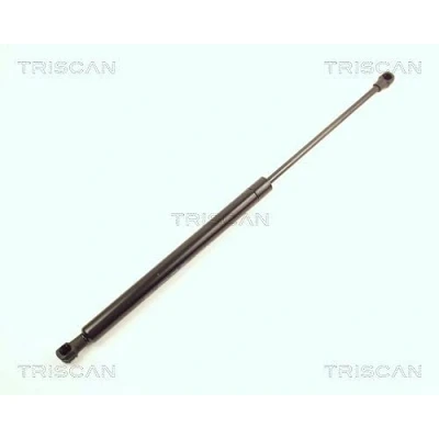 Afbeelding van Triscan Gasveer 8710 28221