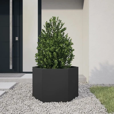 Afbeelding van vidaXL Plantenbak zeshoek 69x60x45 cm staal zwart