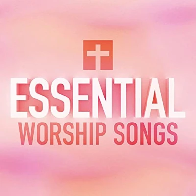 Afbeelding van Various Artists Essential Worship Songs (CD)