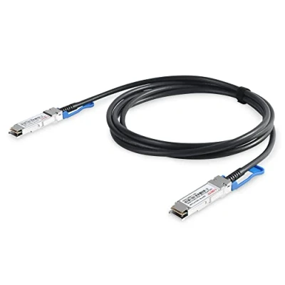 Afbeelding van Digitus DN 81601 Directe SFP aansluitkabel 100 GBit/s 1 m