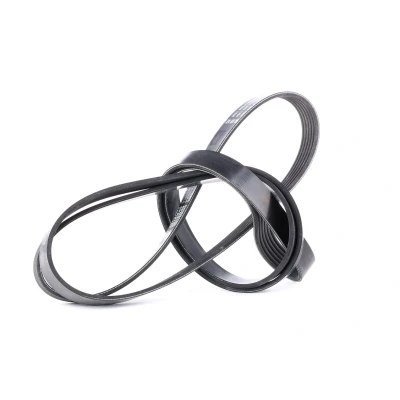 Afbeelding van Poly V riem DAYCO 6PK2120
